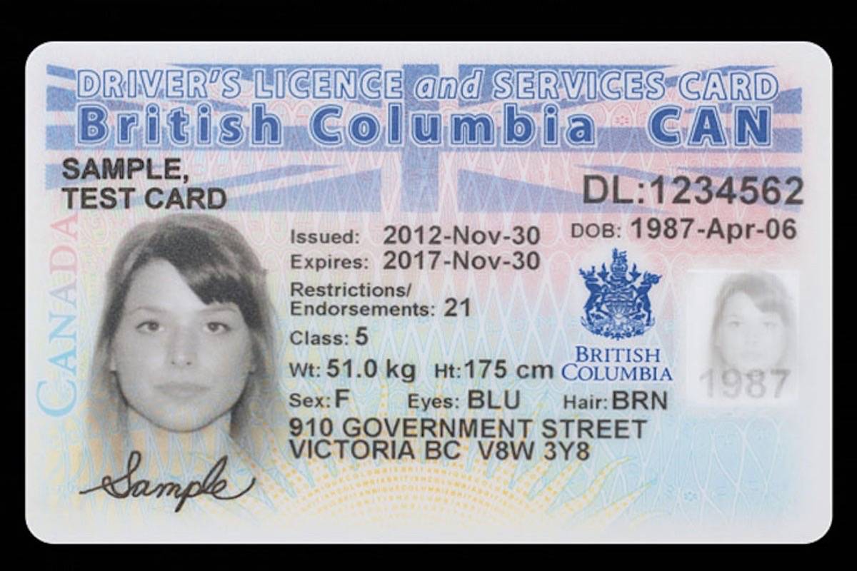 drivers license blocked against renewal or reissuance